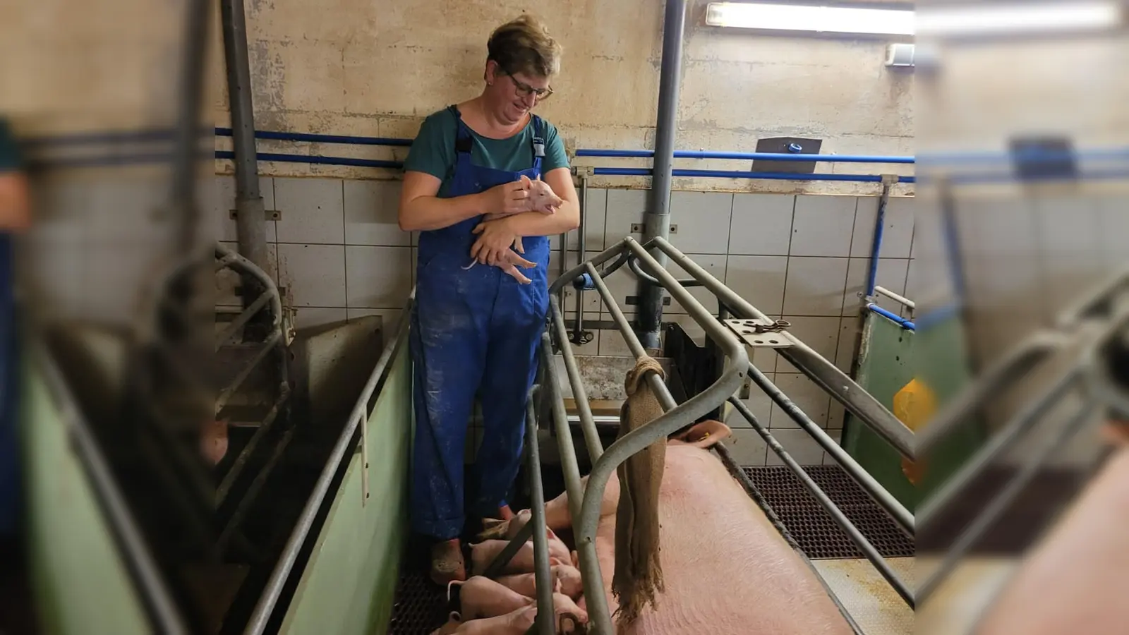 Ihr Leben richtet Petra Müller seit vielen Jahren nach dem Rhythmus der Ferkel aus. Früher hätte sie sich das nicht vorstellen können. (Foto: Lisa Müller)