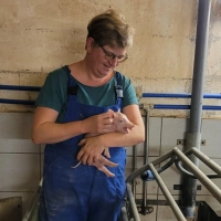 Ihr Leben richtet Petra Müller seit vielen Jahren nach dem Rhythmus der Ferkel aus. Früher hätte sie sich das nicht vorstellen können. (Foto: Lisa Müller)