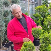Gärtnermeister Mark Danneberg in der Baumschule des BGU Gartencenters in Ansbach-Brodswinden. (Foto: BGU Fachmarkt)