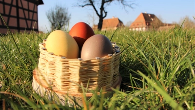 Das Eierfärben hat eine lange Tradition: Im Freilandmuseum Bad Windsheim können Besucher natürliche Färbemittel verwenden, um ein eigenes „Hosagärtle“ zu befüllen. (Foto: Lisa Baluschek)