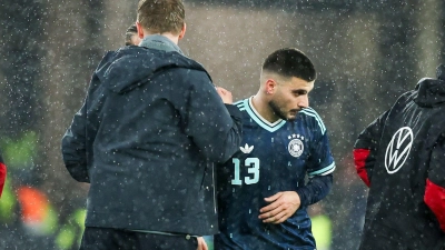 Julian Nagelsmann (l.) und Deniz Undav (r.) auf dem Rasen nach dem WM-Test gegen Ghana. (Archivbild) (Foto: Christian Charisius/dpa)