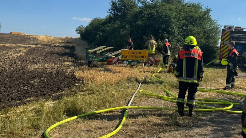 Eine Fläche von 30.000 Quadratmetern war in Brand geraten. (Foto: Kreisfeuerwehrverband NEA)