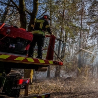 Feuerwehrleute versuchen die Brände zu löschen.  (Foto: Andreas Arnold/dpa)