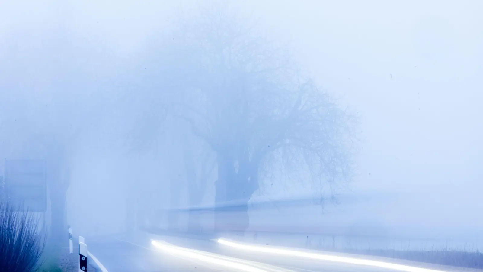 Wählen Autofahrer die falsche Beleuchtung bei Nebel, kann sich die Straße in eine weiße Wand verwandeln. (Foto: Jens Büttner/dpa/dpa-tmn)