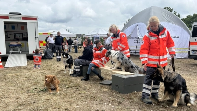 Alles Blaulicht: Neben Polizei, Feuerwehr und Wasserwacht präsentierte sich das Rote Kreuz auch mit einer Hundestaffel. (Foto: Florian Pöhlmann)