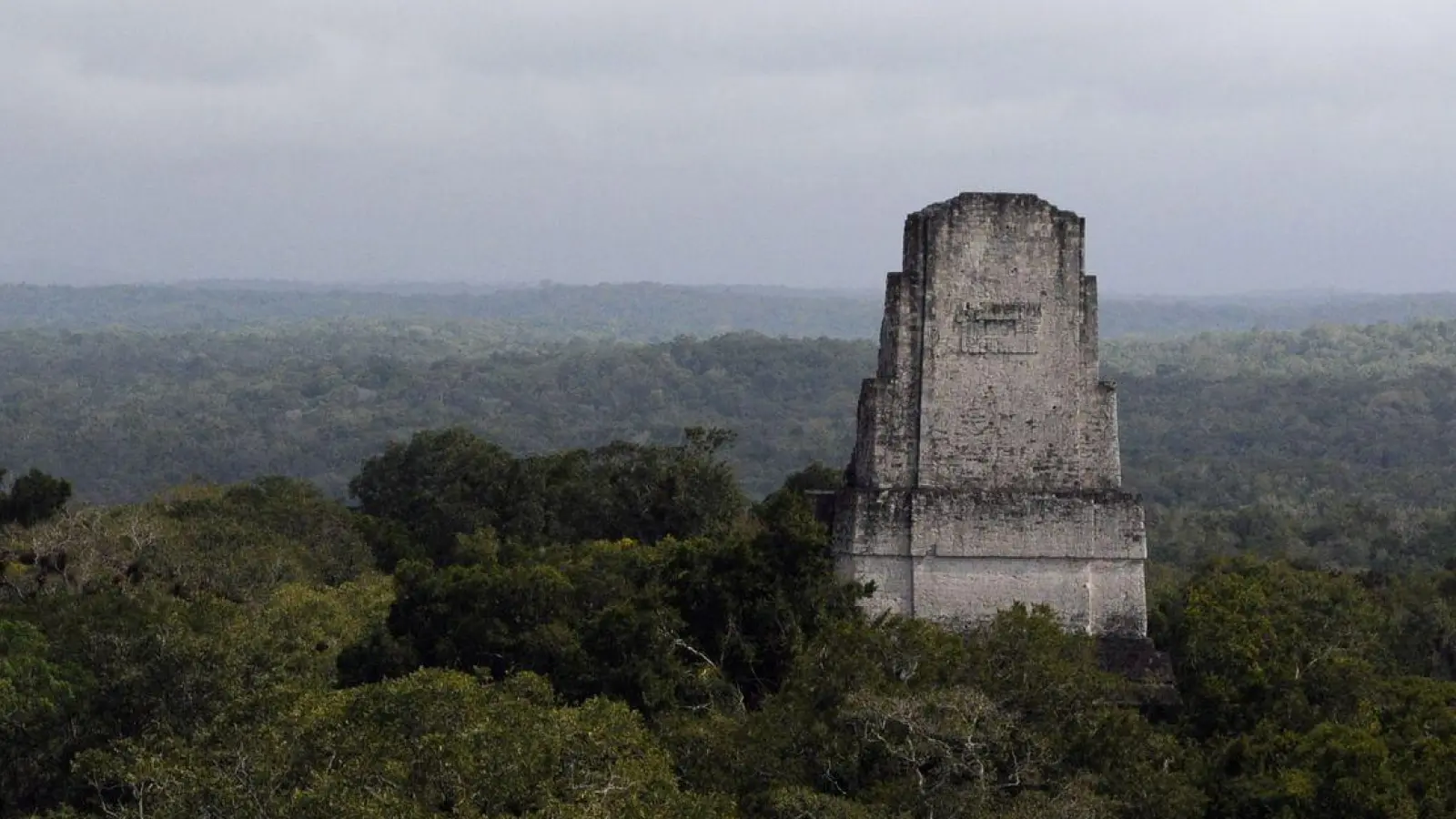 In der Nähe der Unesco-Weltkulturerbestätte Tikal wurde eine rund 2.900 Jahre alte Maya-Stätte entdeckt. (Foto: Sandra Sebastian/EFE via epa/dpa)