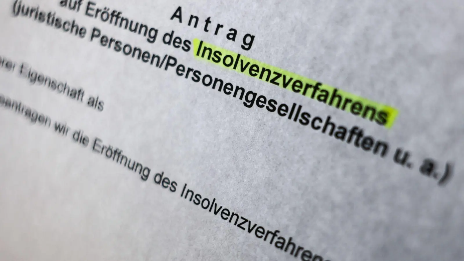 Rofu Kinderland hat Insolvenz in Eigenverwaltung angekündigt. (Symbolbild) (Foto: Oliver Berg/dpa)