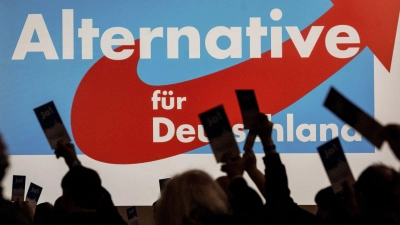 Delegierte versammeln sich zum AfD-Bundesparteitag in Magdeburg. (Foto: Swen Pförtner/dpa)