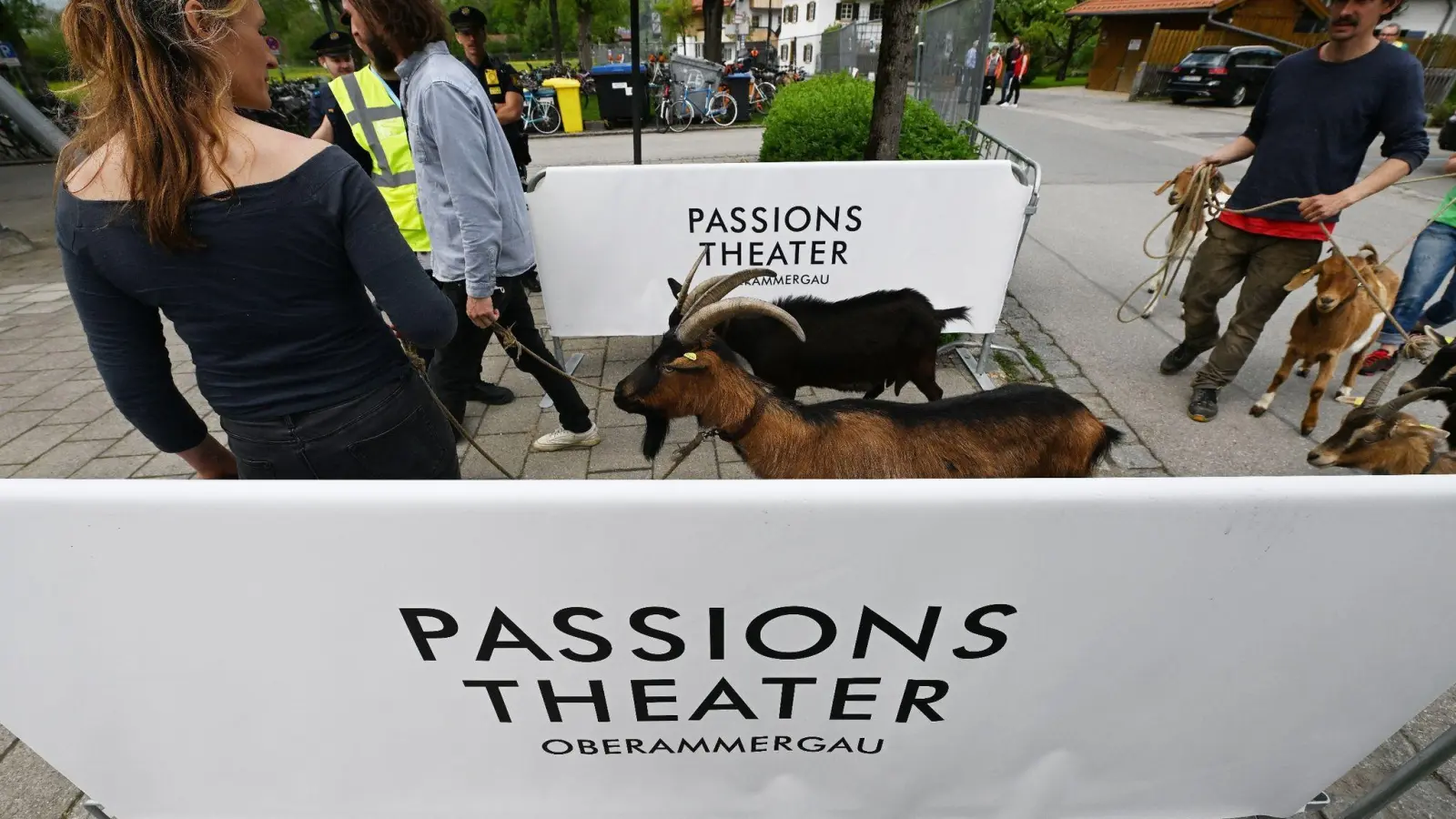 Darsteller bringen die Ziegen hinter das Passionstheater bei der Premiere für die 42. Passionsspiele. (Foto: Angelika Warmuth/dpa/Symbolbild)