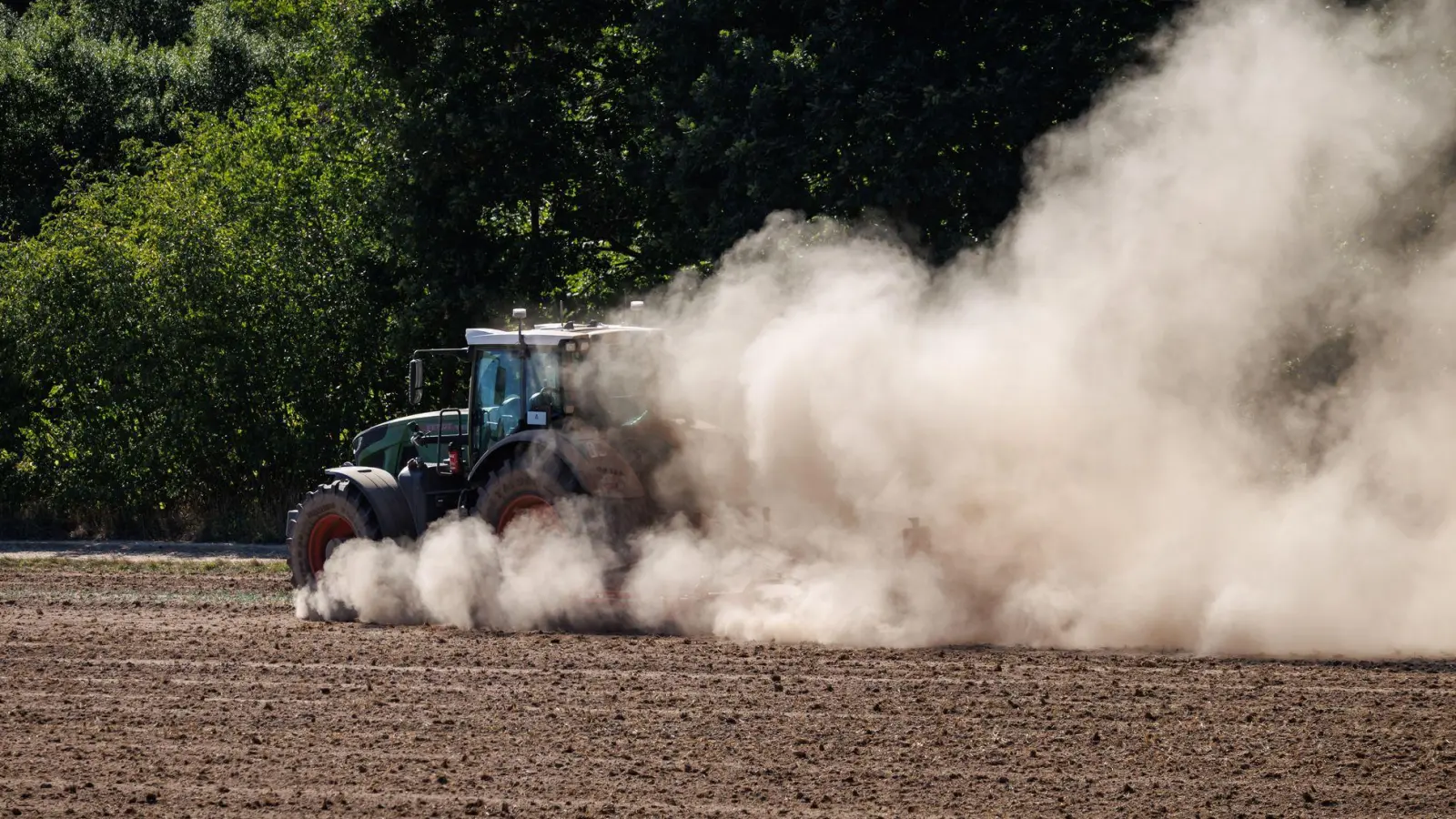 In den vergangenen Tagen hat es geregnet, doch die Monate der Trockenheit zuvor bescheren den Bauern Ernteeinbußen. (Symbolbild) (Foto: Daniel Karmann/dpa)