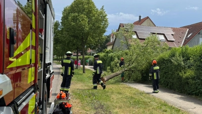 Die Feuerwehr Bad Windsheim entfernte einen umgestürzten Baum in der Wiebelsheimer Straße. (Foto: Feuerwehr Bad Windsheim)