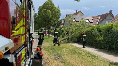Die Feuerwehr Bad Windsheim entfernte einen umgestürzten Baum in der Wiebelsheimer Straße. (Foto: Feuerwehr Bad Windsheim)