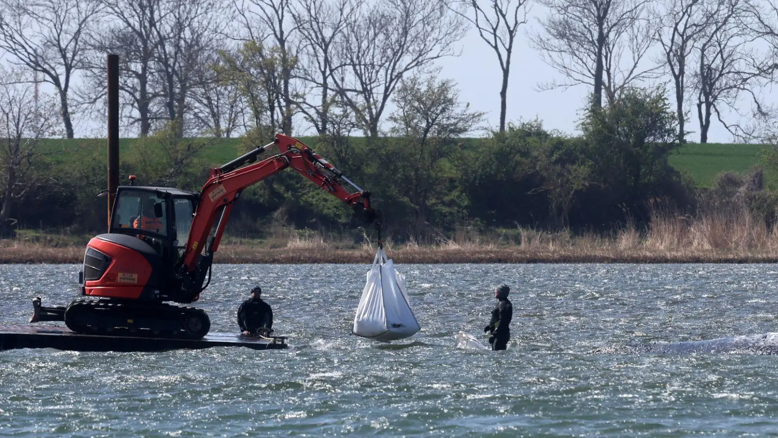 Das neue Konzept der Privatinitiative wird geduldet. (Foto: Bernd Wüstneck/dpa)