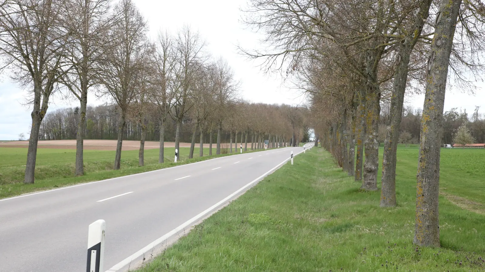 Der Bau der Schutzvorrichtungen entlang der Staatsstraße nach Triesdorf würde laut dem Gemeinderat das Landschaftsbild in dem denkmalgeschützten Ensemble stören. (Foto: Alexander Biernoth)