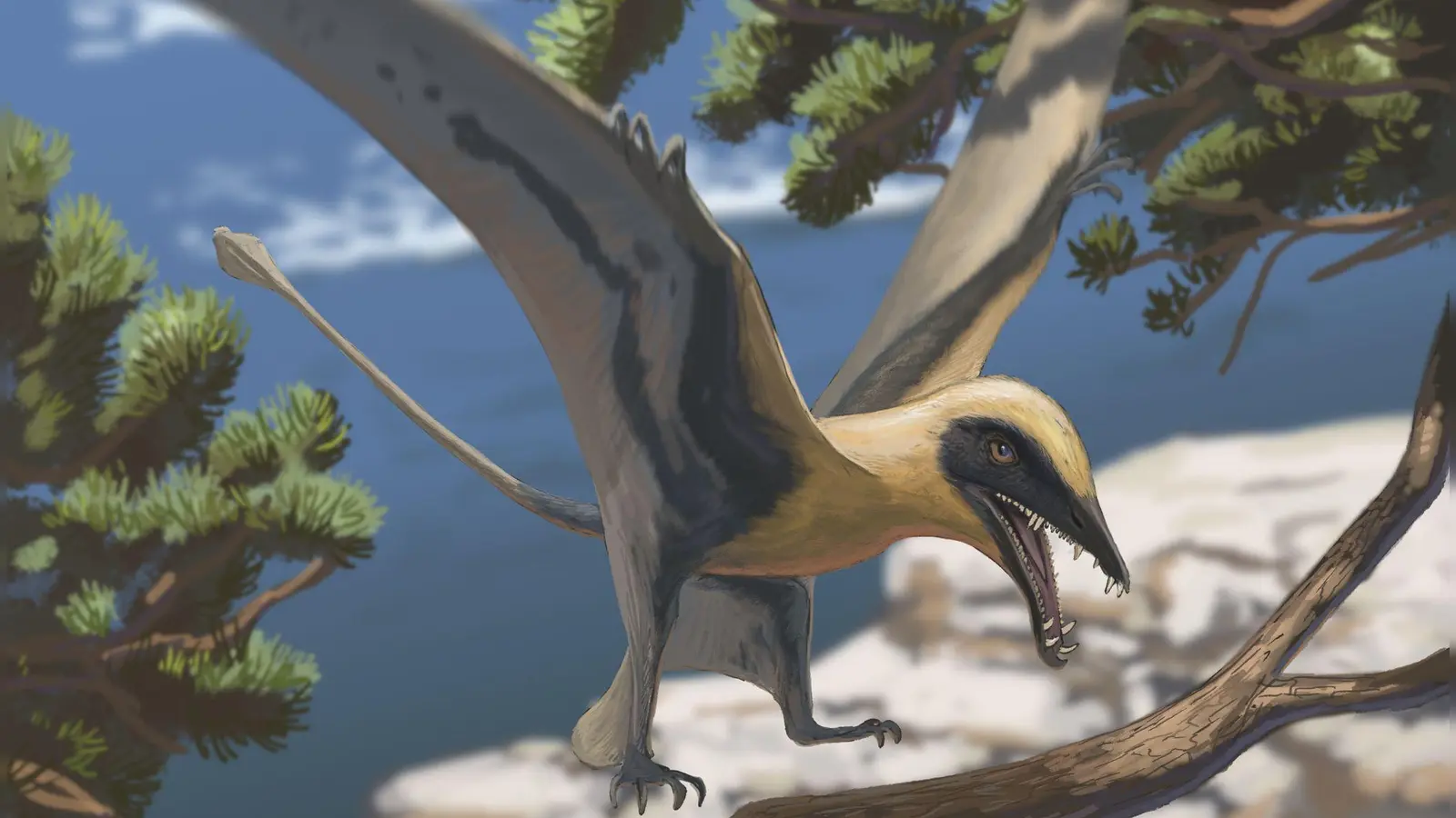 Rekonstruktion des Flugsauriers Eudimorphodon (Foto: Joschua Knüppe/Dinosaurierpark Teufelsschlucht/dpa)