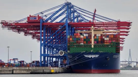 Ein Containerschiff liegt im Waltershofer Hafen am Container Terminal im Hamburger Hafen. (Foto: Julian Weber/dpa)