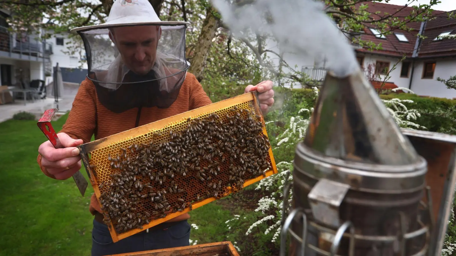 Ein Hobby-Imker nimmt in seinem Garten Bienenwaben aus einem Bienenstock. (Foto: Karl-Josef Hildenbrand/dpa/Archivbild)