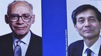 Der Nobelpreis für Chemie geht in diesem Jahr an den Franzosen Henri Kagan und den Japaner Kenso Soai. (Foto: Fredrik Sandberg/TT News Agency/AP/dpa)