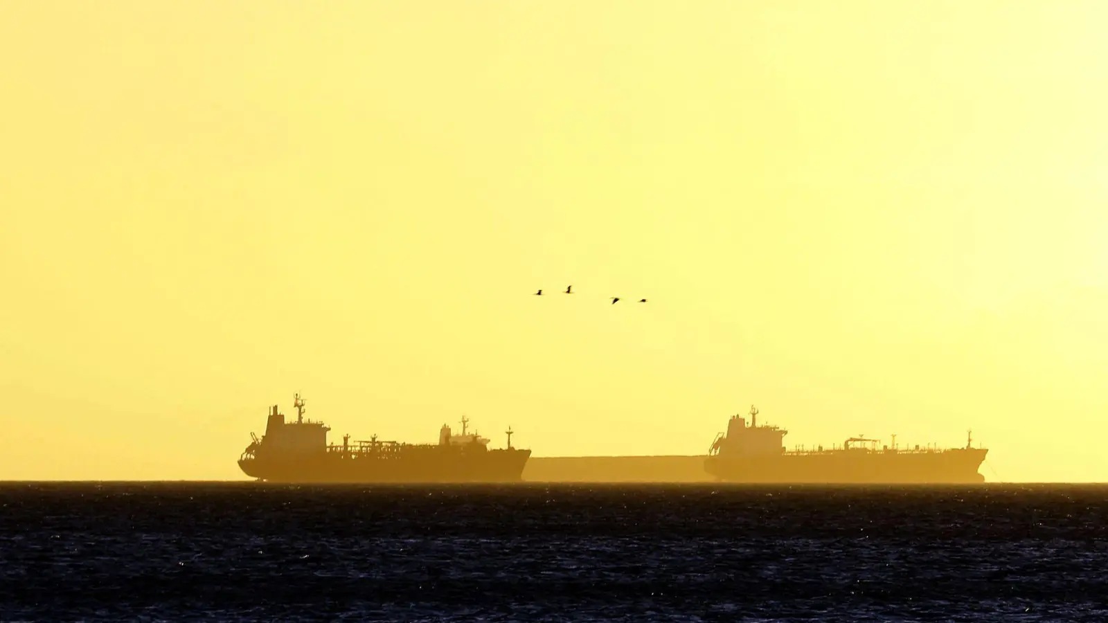 Noch ist unklar, weshalb ein Tanker seinen Kurs änderte. (Symbolbild) (Foto: Juan Carlos Hernandez/ZUMA Wire/dpa)