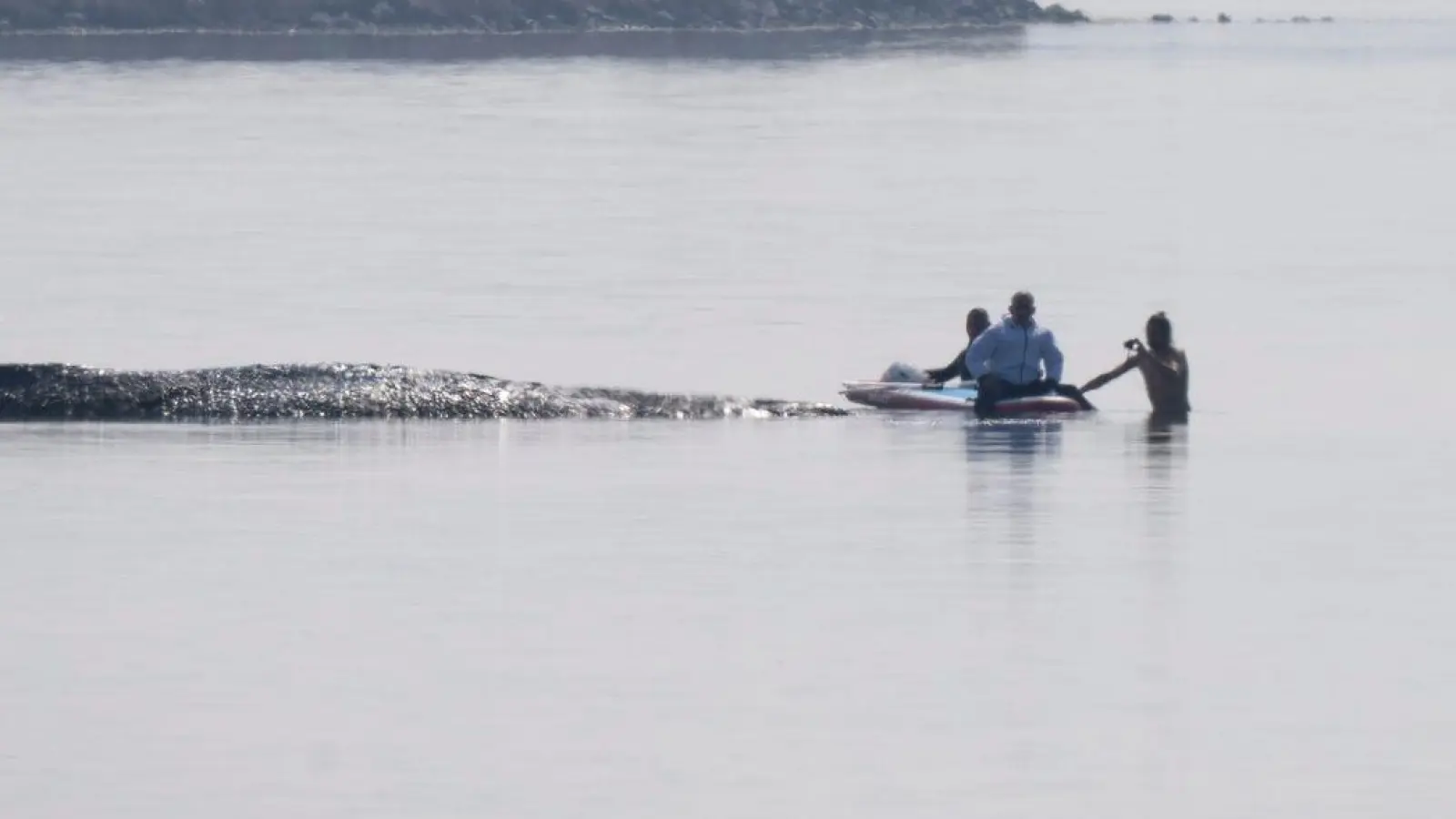 Der private Rettungsversuch für den gestrandeten Wal vor Poel beginnt mit einer Annäherung von Helfern. (Foto: Philip Dulian/dpa)