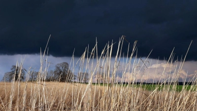 Gewitterwolken ziehen über ein Feld bei Ruderathofen. (Foto: Karl-Josef Hildenbrand/dpa)