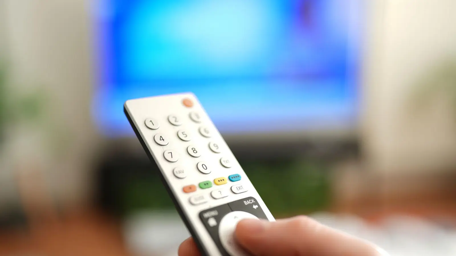 Vier Männer sollen jahrelang Pay-TV-Daten an viele Nutzer weitergegeben haben. Nun wurden Server abgeschaltet und Technik sichergestellt. (Symbolbild) (Foto: Marcus Brandt/dpa)