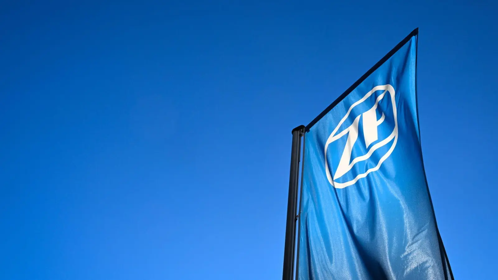 ZF verkauft Fahrerassistenzsysteme an Harman. (Foto-Archiv) (Foto: Felix Kästle/dpa)