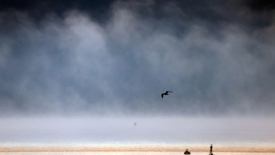 Nach dem frühlingshaften Wetter der vergangenen Tage soll es wieder ungemütlich werden. (Symbolbild) (Foto: Karl-Josef Hildenbrand/dpa)