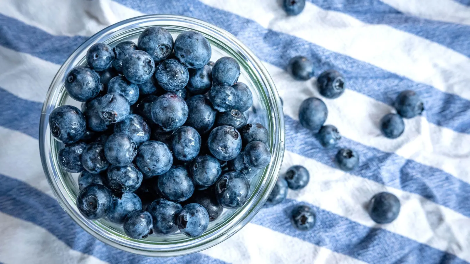 Beeren statt Chips oder Nüsschen: Heidelbeeren, auch Blaubeeren genannt, liegen auf einem Esstisch und werden gern gesnackt. (Foto: Sina Schuldt/dpa)