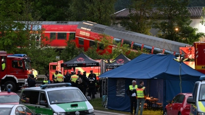 Als der Zug entgleist, sind viele Kinder und Jugendliche an Bord. (Archivbild) (Foto: Angelika Warmuth/dpa)