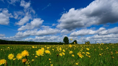Das Wochenende bringt Temperaturen von mehr als 30 Grad mit sich. (Foto: Patrick Pleul/dpa)