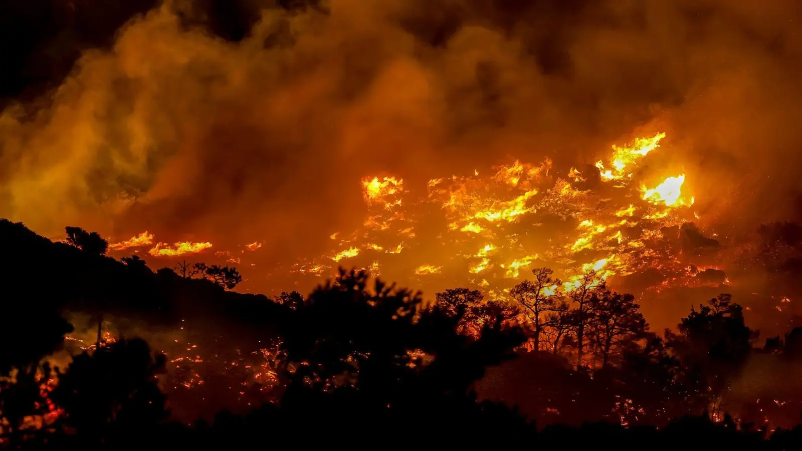 Ein Feuer brennt in der Gegend von Ahlia in der Nähe der Hafenstadt Ierapetra an der Südküste der Insel Kreta, was laut Behörden die Evakuierung von Dörfern und Hotels in der Region zur Folge hat. (Foto: STR/INTIME NEWS/AP/dpa-tmn)