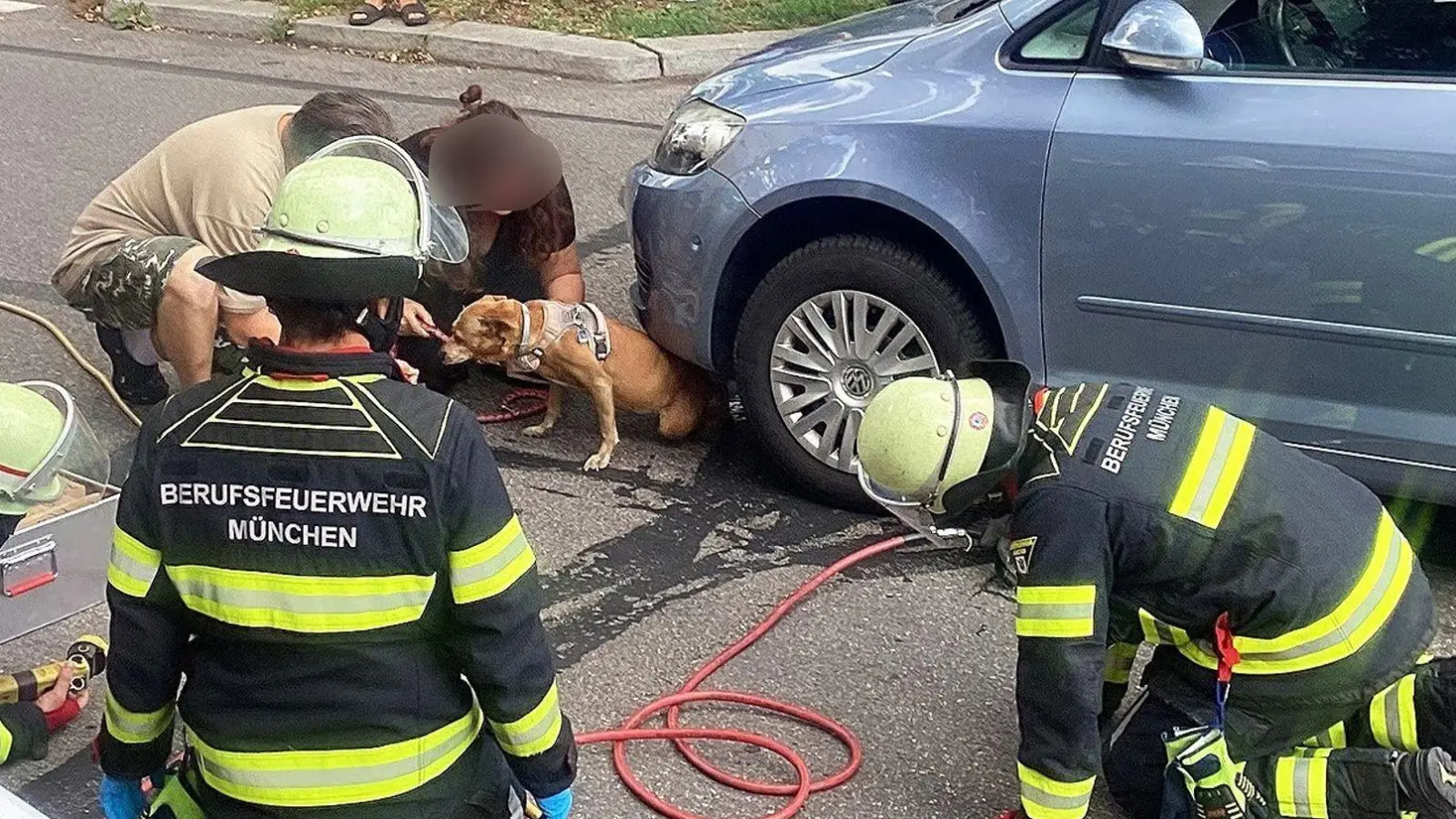 Mit einem Hebekissen holte die Feuerwehr Hündin Cookie unter dem Auto hervor. (Foto: -/Berufsfeuerwehr München/dpa)