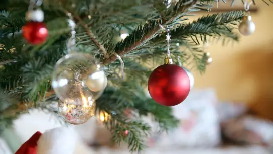 Schon früh im Dezember stellen viele inzwischen ihren Weihnachtsbaum auf. Natürlich prächtig geschmückt. (Foto: Mascha Brichta/dpa-tmn)