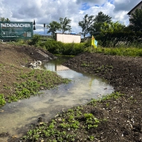 Die erste fertiggestellte Daueranlage: der verlängerte und nun mit Wasser gefüllte Bachlauf des Kühwasengrabens. (Foto: Bayerische Landesgartenschau Bad Windsheim 2027 GmbH)