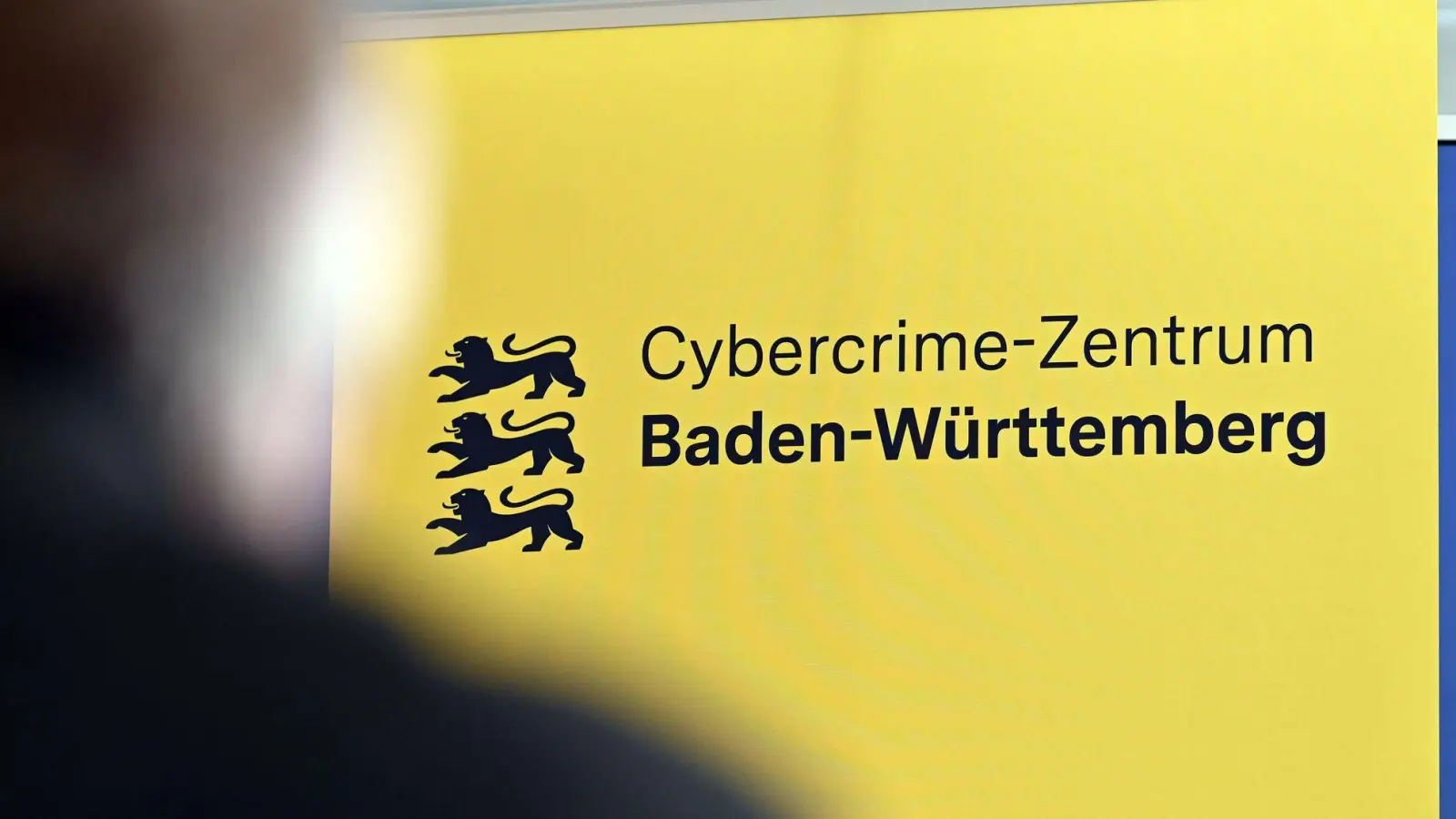 Die Ermittler suchen nach Opfern eines festgenommenen 16-Jährigen. (Archivbild) (Foto: Uli Deck/dpa)