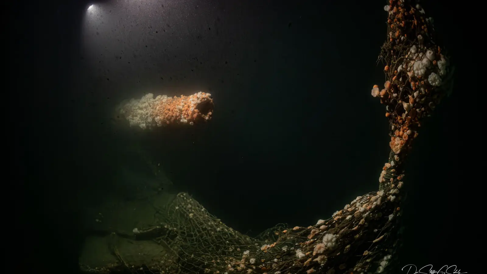 Die Tauchgänge fanden nach Angaben des Teams in großer Tiefe und unter herausfordernden Bedingungen statt. (Foto: Dr. Steffen G. Scholz/ProjectXplore /dpa)