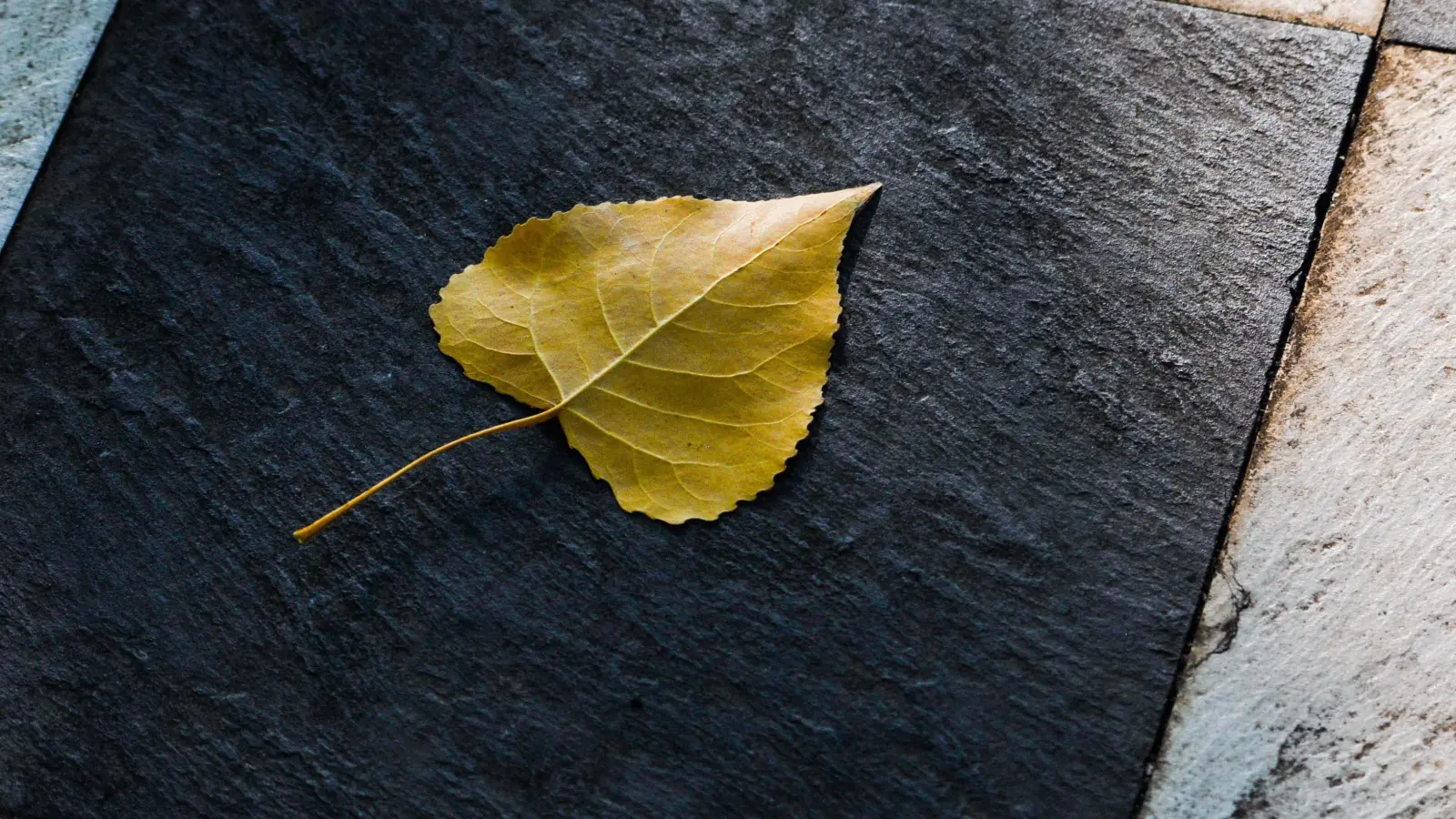 Details und vermeintlich kleine Entscheidungen können den ökologischen Fußabdruck eines Gebäudes beeinflussen und somit einen Beitrag zum Klimaschutz leisten. (Foto: Pixabay)