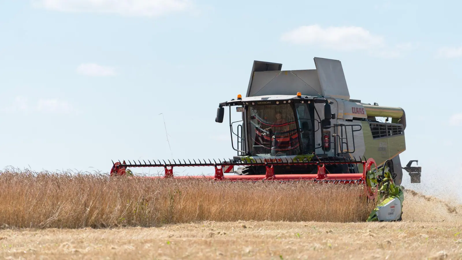 Ein Mähdrescher erntet auf einem Getreidefeld. (Archivbild) (Foto: Nicolas Armer/dpa)