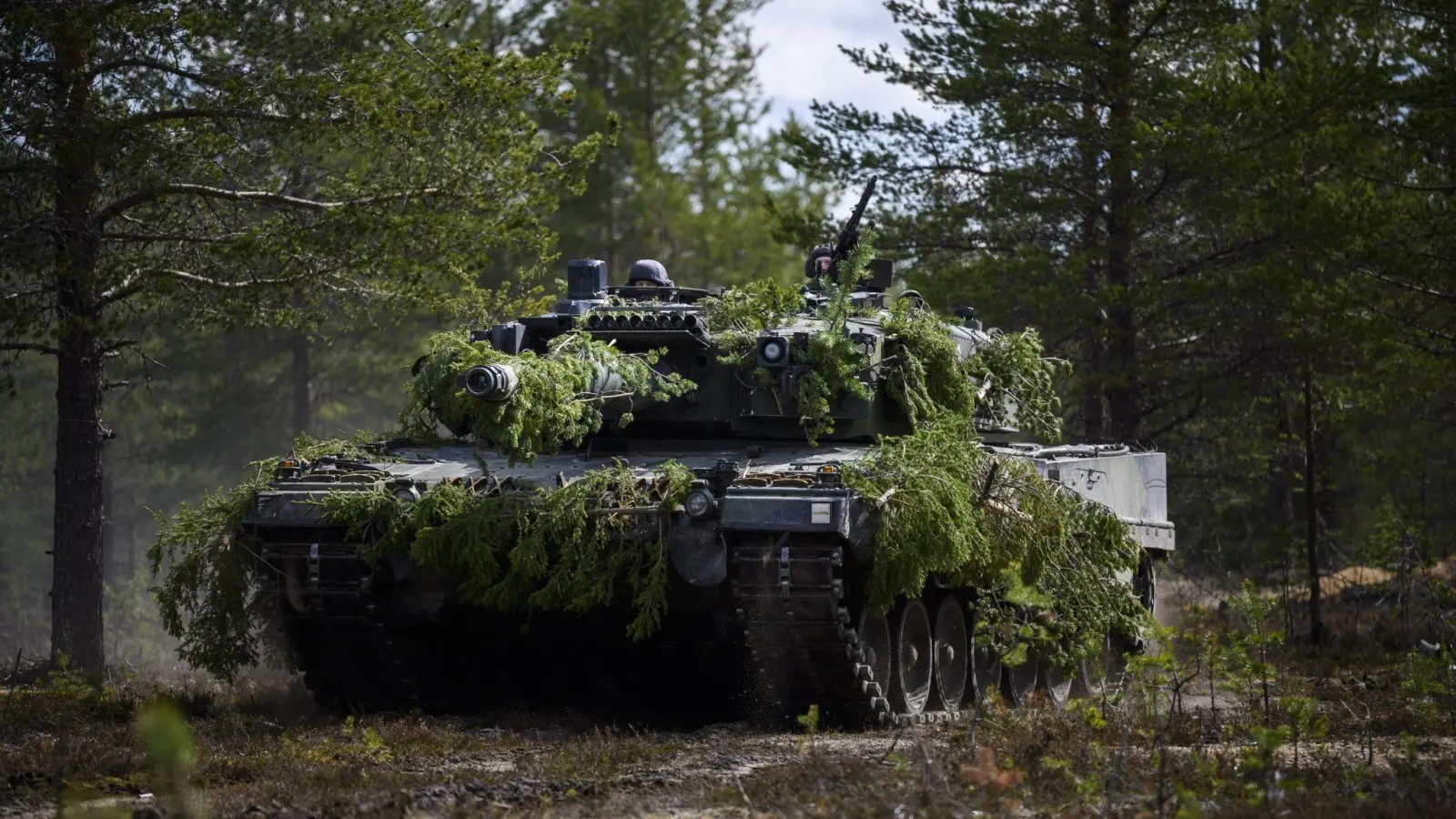Ein finnischer Panzer Leopard 2A6 fährt während eines Nato-Manövers durch einen Wald. (Archivbild) (Foto: Jouni Porsanger//dpa)
