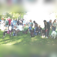Hunde aller Größen, Rassen und Mischungen hatten sich auf dem Festplatz von Uffenheim eingefunden, um gemeinsam mit Dekan Max von Egidy den jetzt schon vierten Hunde-Gottesdienst gemeinsam zu feiern. (Foto: Sylvia Fehlinger)