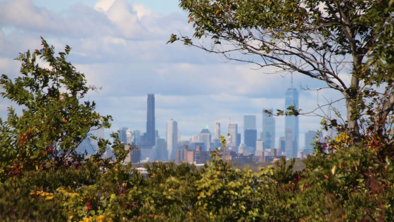 Die Skyline von Manhattan, im Vordergrund das Naturschutzgebiet Jamaica Bay Wildlife Refuge. (Foto: Christina Horsten/dpa)
