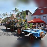 Der Fischereiverein Wassertrüdingen hatte seinen Wagen aufwendig mit Exponaten aus dem Naturkunde- und Fischereimuseum im Törle gestaltet. (Foto: Peter Tippl)