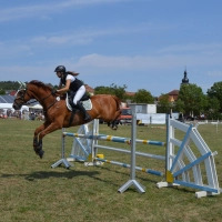 Der neue Vorstand des Reitclubs Trautskirchen hat eine durchweg positive Resonanz des diesjährigen Turniers gezogen. Reiterinnen und Reiter aus der Region und darüber hinaus präsentierten ihre Pferde bei insgesamt 25 Dressur- und Springprüfungen. (Foto: Yvonne Neckermann)