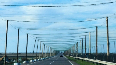 Netze über den Strtaßen bei Cherson sollen russische Drohnen abhalten. (Archivbild) (Foto: Efrem Lukatsky/AP/dpa)