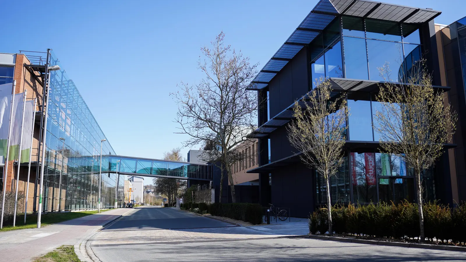 Eine neue Brücke stellt die direkte Verbindung zwischen dem Brücken-Center und der Hochschule her. (Foto: Hochschule Ansbach)