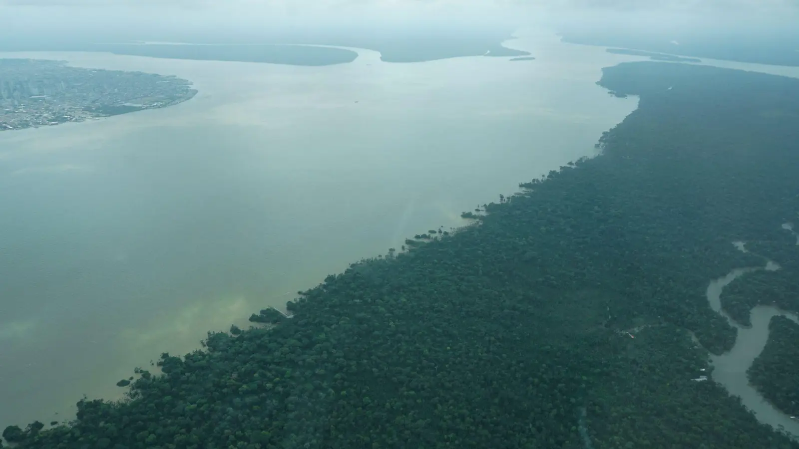 Durch den an die Millionenstadt Belém grenzenden Wald fließt der Fluss Guama. (Foto: Larissa Schwedes/dpa)