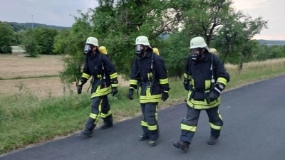 Christian Markert, Sebastian Endreß und Johannes Glemser (von links) trainieren seit Mitte März für die Teilnahme am Petersberglauf in Schutzausrüstung.  (Foto: Katrin Merklein)