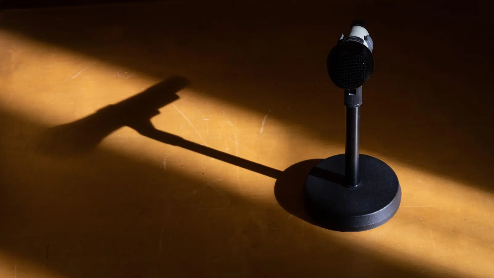 Ein Mikrofon steht in einem Saal eines Gerichts. (Foto: Friso Gentsch/dpa/Symbolbild)