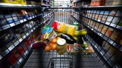 Verschiedene Lebensmittel liegen in einem Einkaufswagen. (Foto: Sven Hoppe/dpa/Symbolbild)